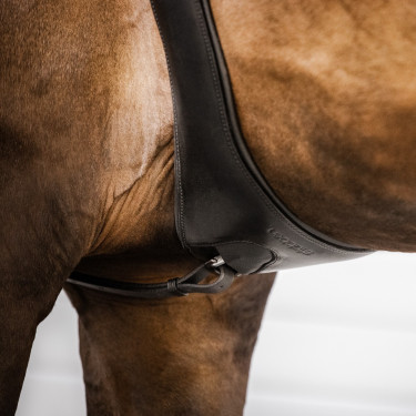 Cinghia Stübben in cuoio Contorni elastici su entrambi i lati Ebano