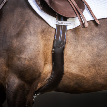 Cinghia Stübben in cuoio Contorni elastici su entrambi i lati Ebano