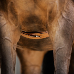 Cinghia Stübben in cuoio Contorni elastici su entrambi i lati Tabacco Marrone