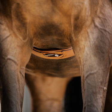 Cinghia Stübben in cuoio Contorni elastici su entrambi i lati Tabacco Marrone