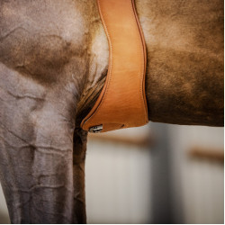 Cinghia Stübben in cuoio Contorni elastici su entrambi i lati Tabacco Marrone