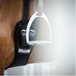 Sottopancia Stübben in neoprene corto Coolmax con elastici su entrambi i lati Sottopancia Stübben in neoprene corto Coolmax con elastici su entrambi i lati