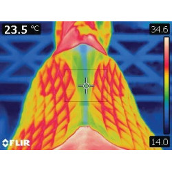 Tappeto da salto ostacoli Stübben in pelle d'agnello Streamline Close Contact