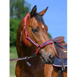Capezza Tommy Hilfiger Equestrian Lincoln