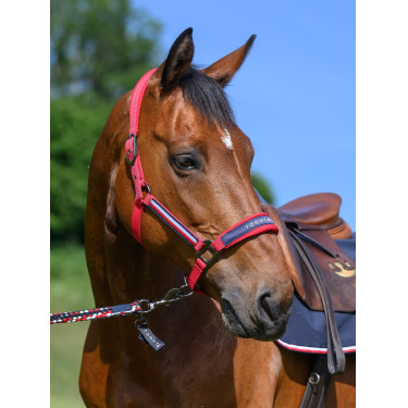 Capezza Tommy Hilfiger Equestrian Lincoln