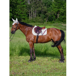 Tappetino da salto ostacoli Tommy Hilfiger Equestrian Stanford Bianco