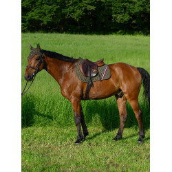 Tappetino da salto ostacoli Tommy Hilfiger Equestrian Stanford Tappetino da salto ostacoli Tommy Hilfiger Equestrian Stanford