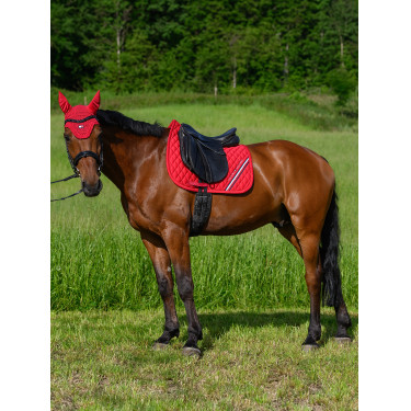 Sottosella da addestramento Tommy Hilfiger Equestrian Stanford Sottosella da addestramento Tommy Hilfiger Equestrian Stanford