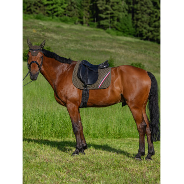 Sottosella da addestramento Tommy Hilfiger Equestrian Stanford Sottosella da addestramento Tommy Hilfiger Equestrian Stanford