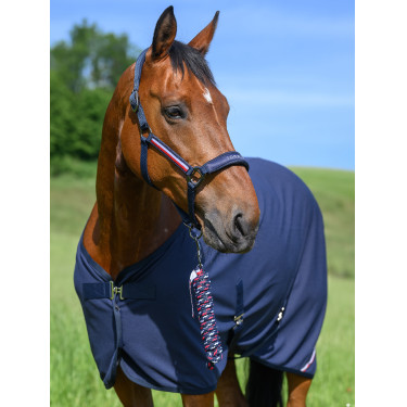 Capestro e lunghina Tommy Hilfiger Equestrian Yale Blu navy