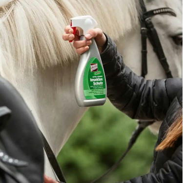 Lozione anti-tafani Bremsen Bremse Lozione anti-tafani Bremsen Bremse