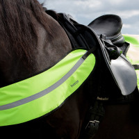 Pettorale collare riflettente Horze Giallo