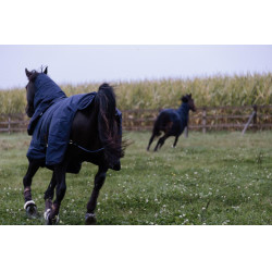 Coperta da esterno impermeabile All Weather Pro Kentucky Marina Blu marino