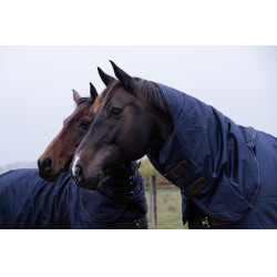 Coperta da esterno impermeabile All Weather Pro Kentucky Marina Blu marino