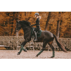 Sottosella Velvet Pearls dressage Kentucky Verde abete Sottosella Velvet Pearls dressage Kentucky Verde abete
