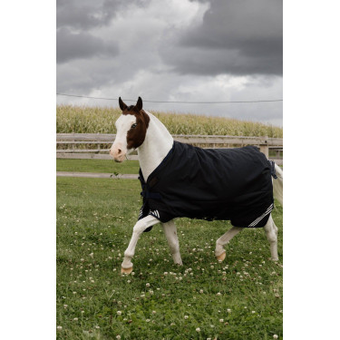 Coperta da paddock impermeabile per tutte le stagioni Comfort Kentucky Coperta da paddock impermeabile per tutte le stagioni Comfort Kentucky