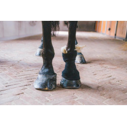 Lana terapeutica 150g Grooming Deluxe by Kentucky Lana terapeutica 150g Grooming Deluxe by Kentucky