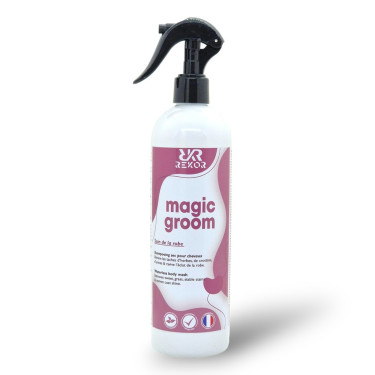 Shampoo secco Rekor Magic Groom Shampoo secco Rekor Magic Groom