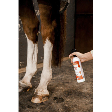Insetticida repellente Rekor Ultra Fly Insetticida repellente Rekor Ultra Fly