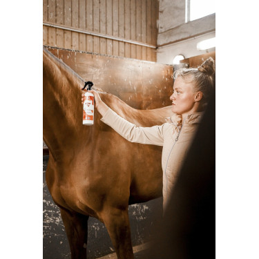 Insetticida repellente Rekor Ultra Fly Insetticida repellente Rekor Ultra Fly
