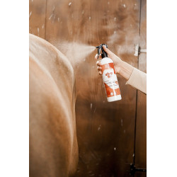 Insetticida repellente Rekor Ultra Fly