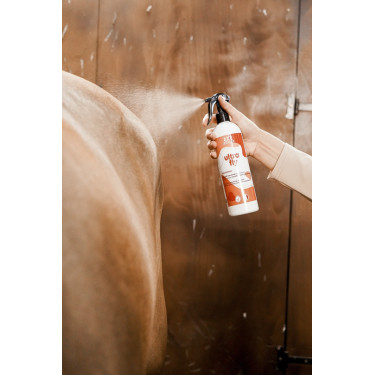 Insetticida repellente Rekor Ultra Fly Insetticida repellente Rekor Ultra Fly