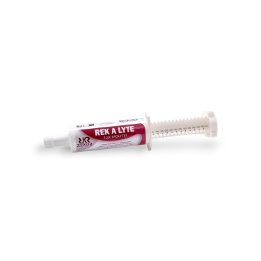 Alimento complementare Rekor Rek A Lyte flash Alimento complementare Rekor Rek A Lyte flash