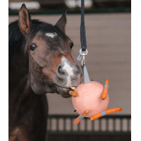 Palla Waldhausen per carote Linnea rosa Palla Waldhausen per carote Linnea rosa