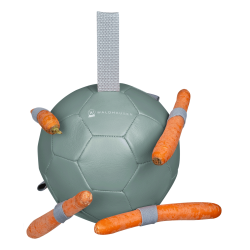 Palla Waldhausen per carote Guidales