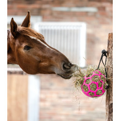 Palla per fieno Waldhausen Rosa