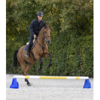 Blocco ostacolo Cavaletti Waldhausen Blu