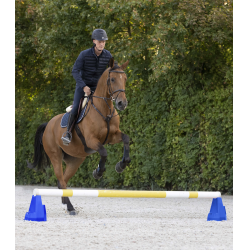 Blocco ostacolo Cavaletti Waldhausen Blu Blocco ostacolo Cavaletti Waldhausen Blu