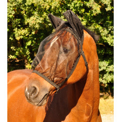 Cuffia antimosche Waldhausen Basic protezione orecchie Cuffia antimosche Waldhausen Basic protezione orecchie