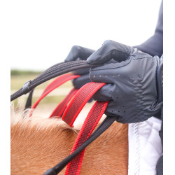 Bricole Waldhausen redini di sicurezza Secutrust Nero