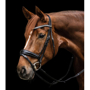 Briglia Waldhausen S-Line Essential Briglia Waldhausen S-Line Essential