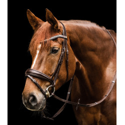 Briglia Waldhausen S-Line Essential Marrone Briglia Waldhausen S-Line Essential Marrone