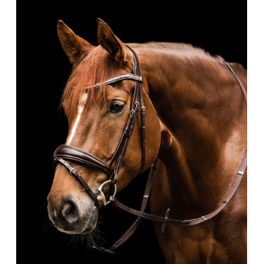 Briglia Waldhausen S-Line Essential Marrone Briglia Waldhausen S-Line Essential Marrone