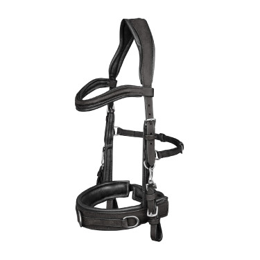 Capezzone Waldhausen in cuoio anatomico Nero