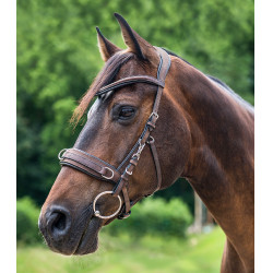 Capezzone Waldhausen in cuoio anatomico Marrone