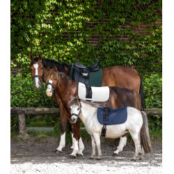 Sottosella Waldhausen Felix Verde abete