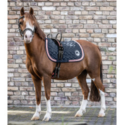 Sottosella Waldhausen Lucky Sottosella Waldhausen Lucky