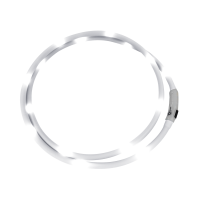 Collare luminoso a LED Waldhausen Bianco