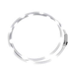 Collare luminoso a LED Waldhausen Bianco