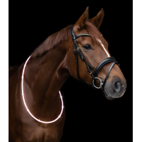 Collare luminoso a LED Waldhausen Bianco