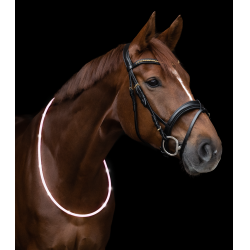 Collare luminoso a LED Waldhausen Bianco