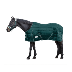 Coperta da scuderia Waldhausen Economic 200 g Verde abete