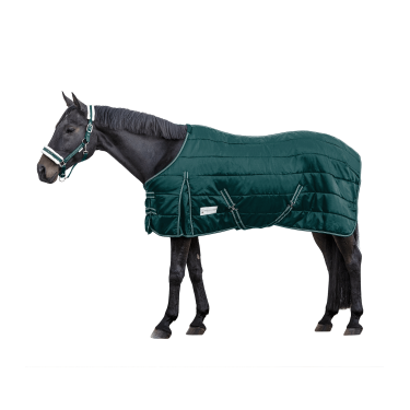 Coperta da scuderia Waldhausen Economic 200 g Verde abete