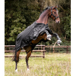 Coperta da esterno Waldhausen Scandic 200 g Nero