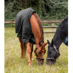 Coperta da esterno Waldhausen Nordic 200 g Nero Coperta da esterno Waldhausen Nordic 200 g Nero