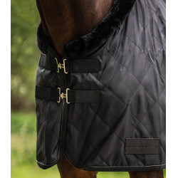 Coperta da trasporto Waldhausen Exclusive 50 g Nero Coperta da trasporto Waldhausen Exclusive 50 g Nero